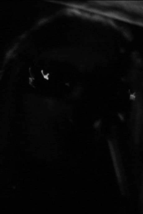 One Roll in the Blackness